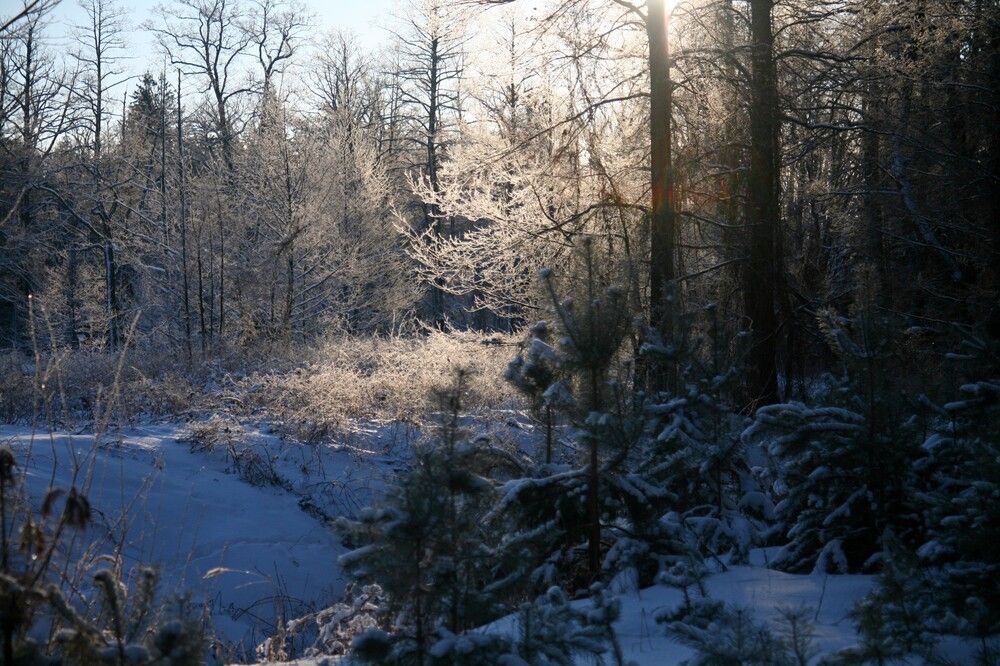 Photograph by Сергей Зятиков