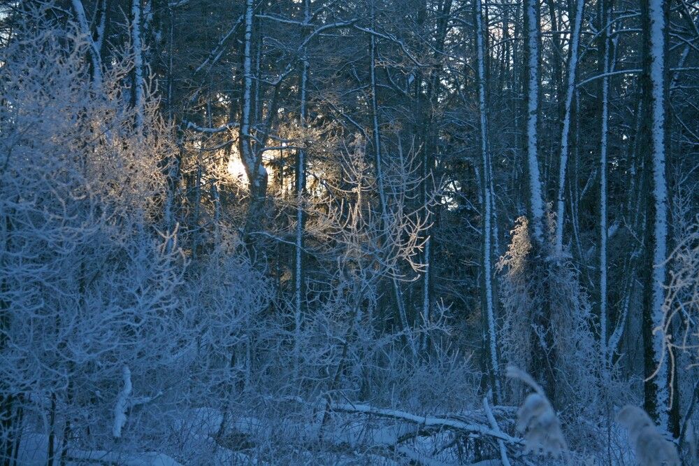 Photograph by Сергей Зятиков