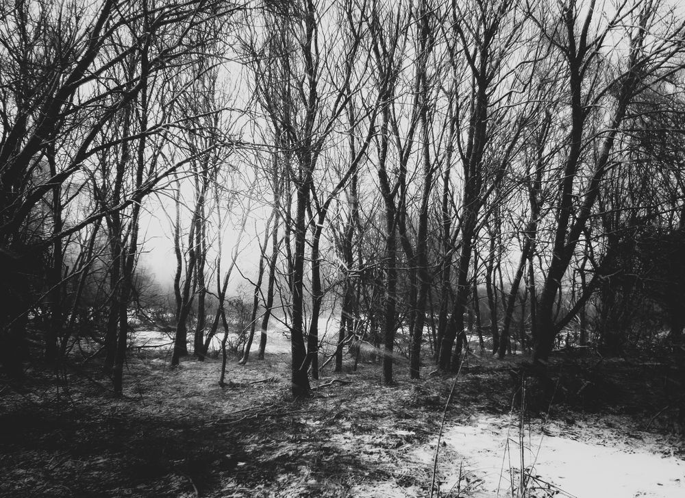 Photograph by Викулов Сергей