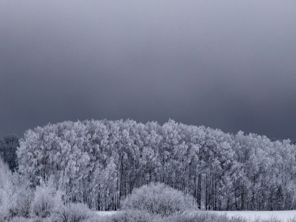 Фотография автора Дмитрий Новиков