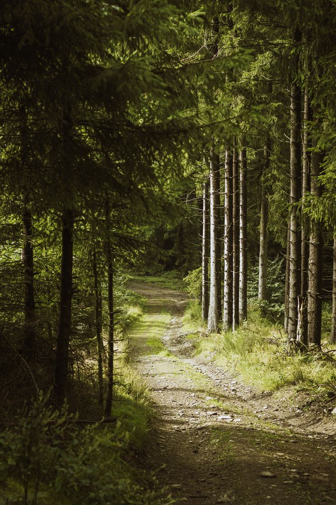 Photograph by Irina Chekanov