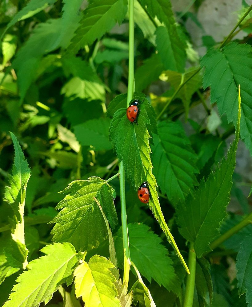 Photograph by Анастасия Кузьменко