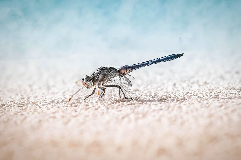 Photograph by Нели Арнаудова