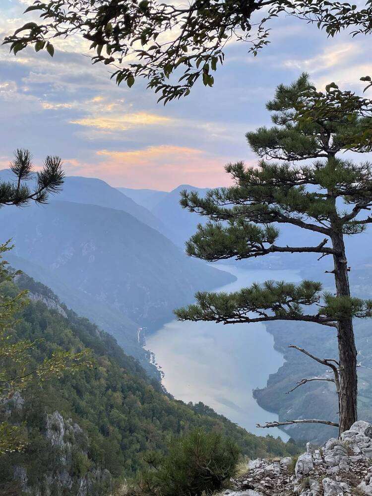 Photograph by Марина