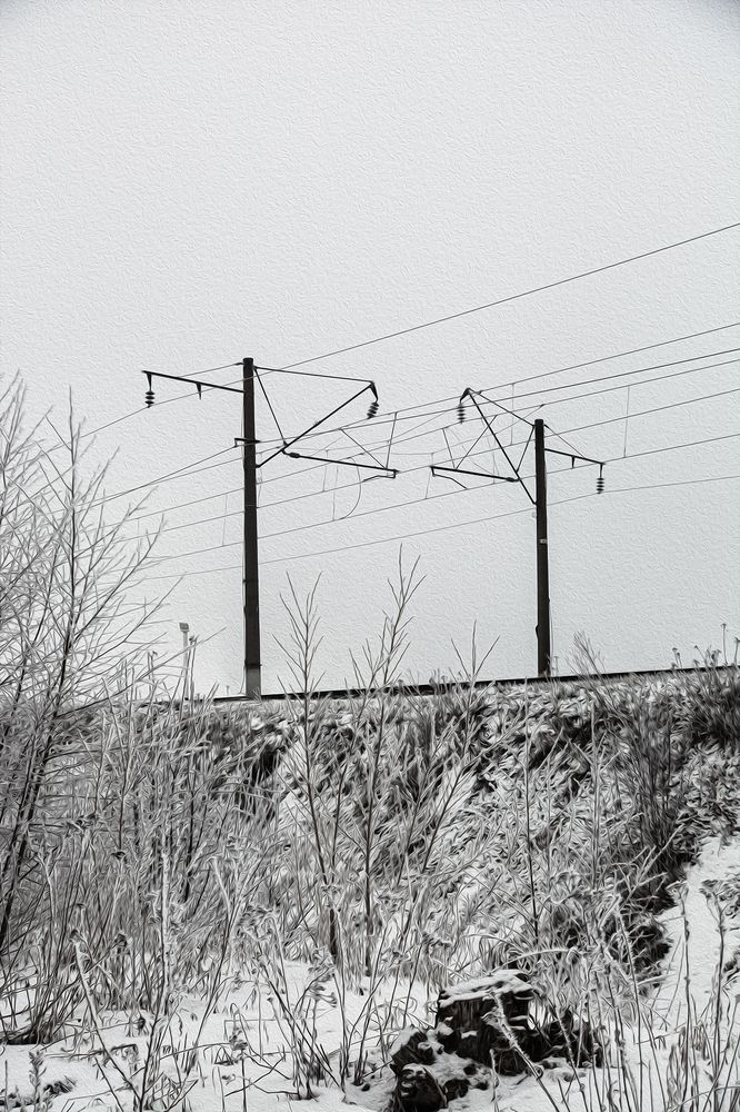 Photograph by Ольга Волкова