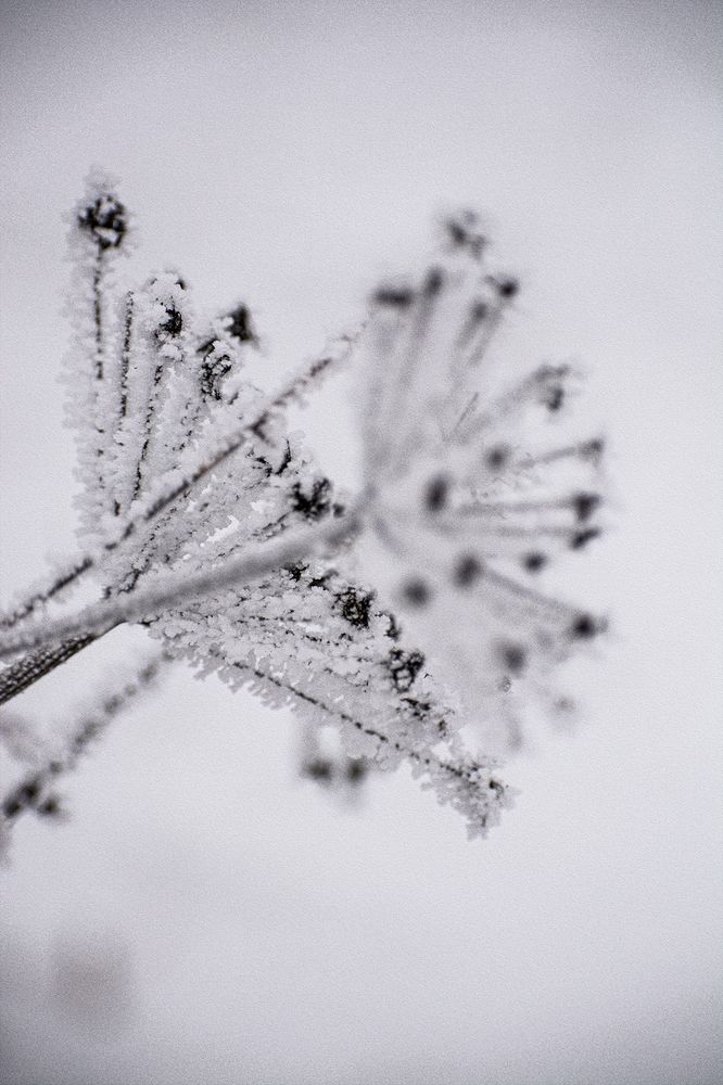 Photograph by Ольга Волкова
