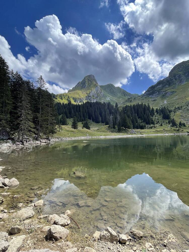 Photograph by Марина