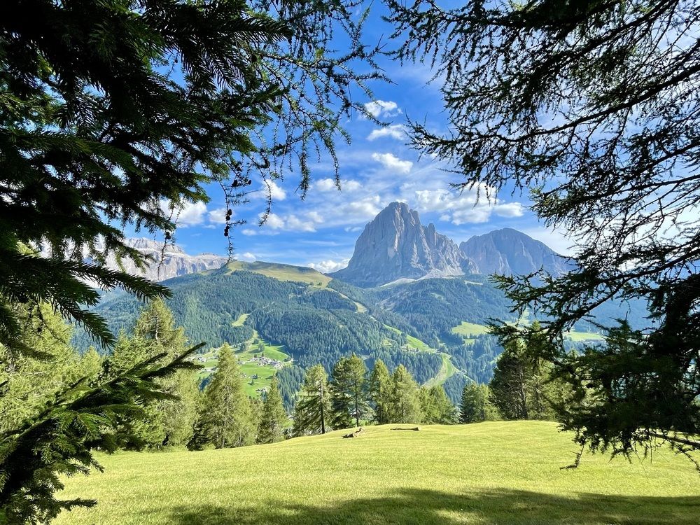 Photograph by Марина