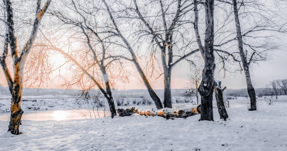 Photograph by Викулов Сергей