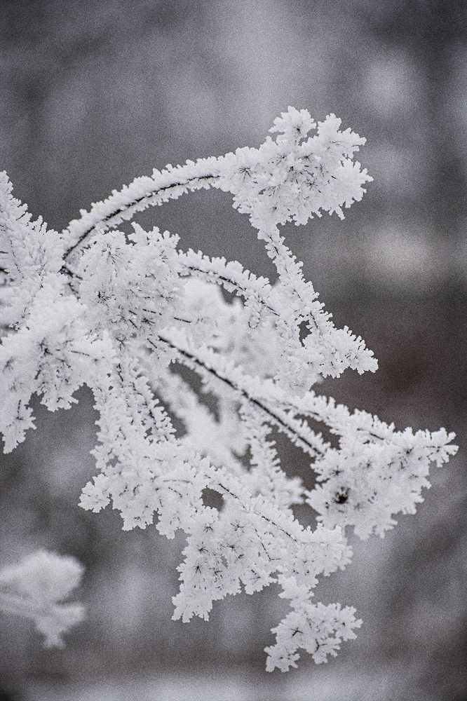 Photograph by Ольга Волкова