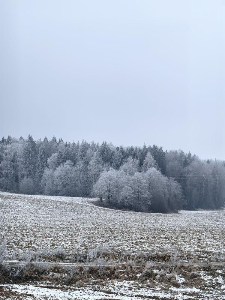 Photograph by Veranika Siratsinina