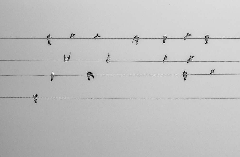 Photograph by SAYADI YOUSEF