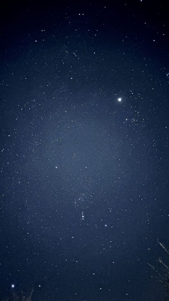 Photograph by Елена Гущина