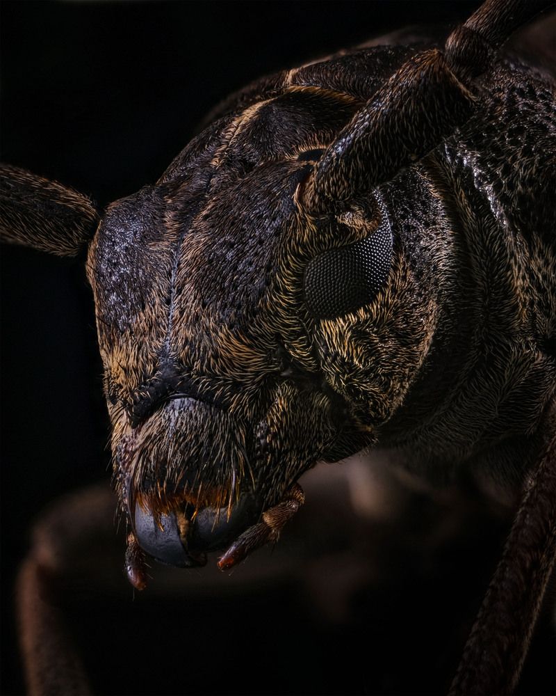 Photograph by Юрий Юрьевич Подгрушный