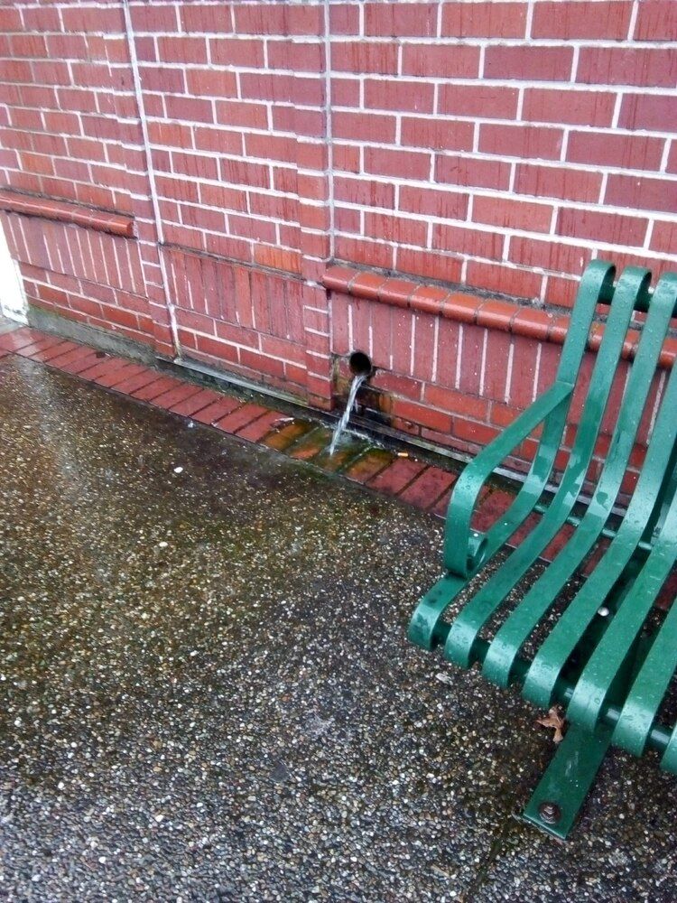 Photograph by Людмила Ковалева