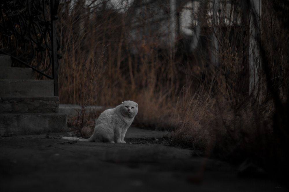 Photograph by Павел Милкин