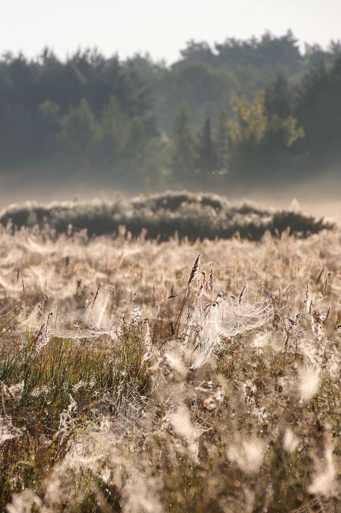 Photograph by Наталья Трифуз