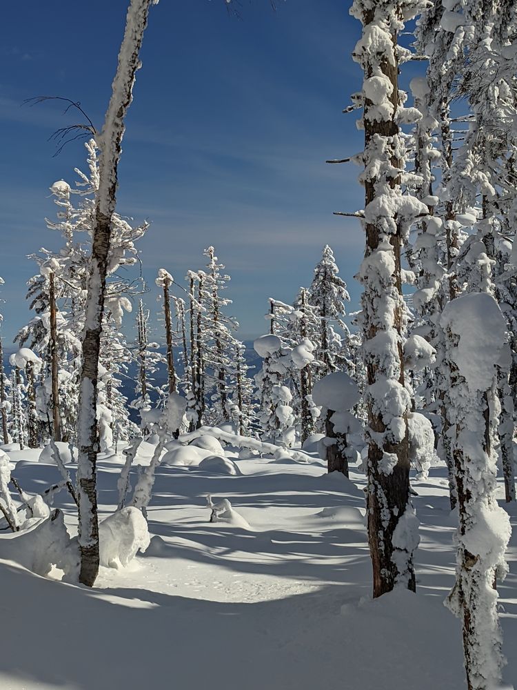 Photograph by Максим Ушаков