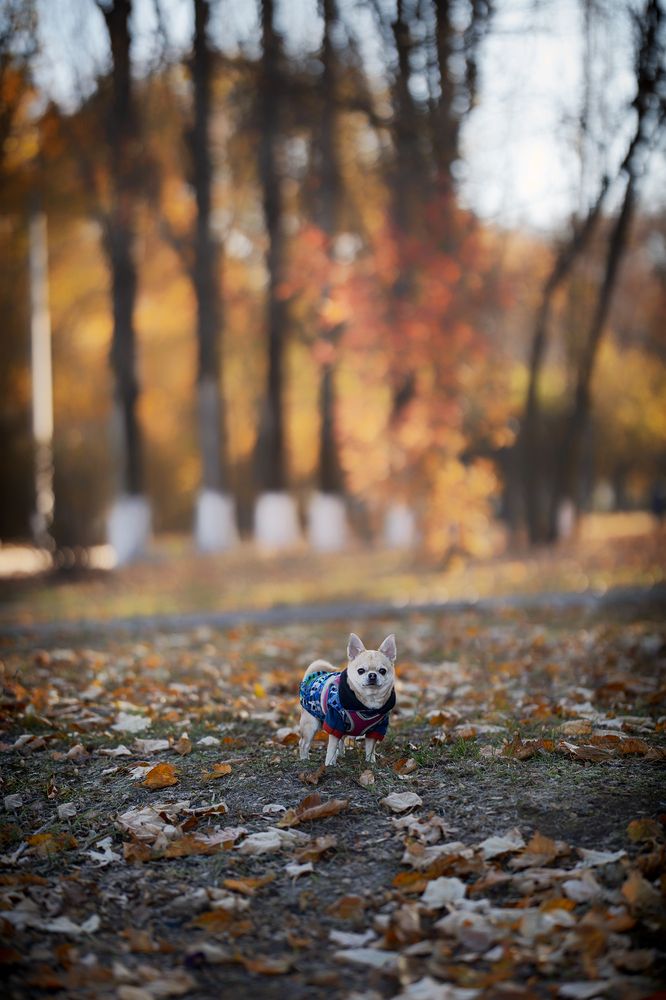 Photograph by Ирина