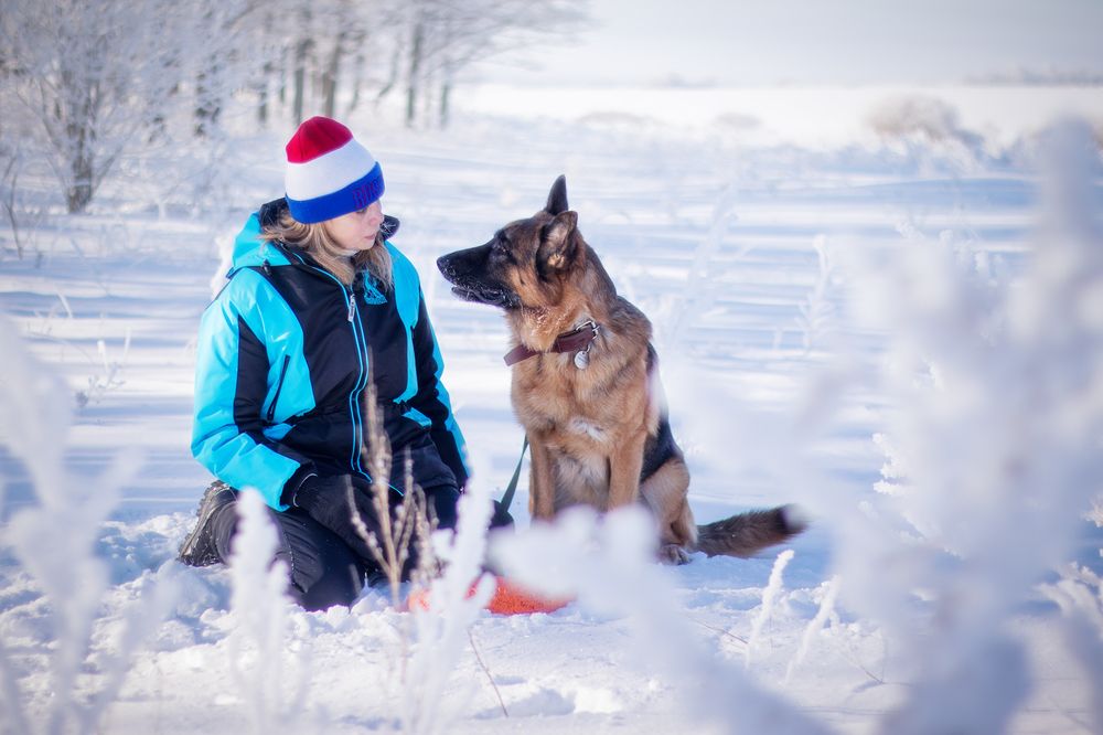Photograph by Любовь Головина