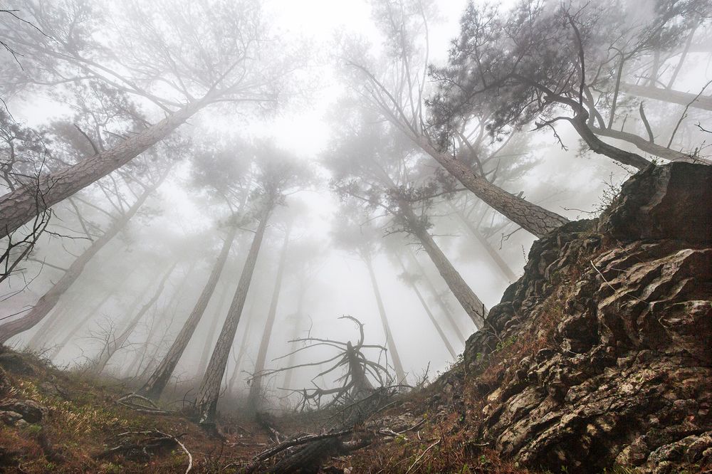 Photograph by Владимир Бочковский