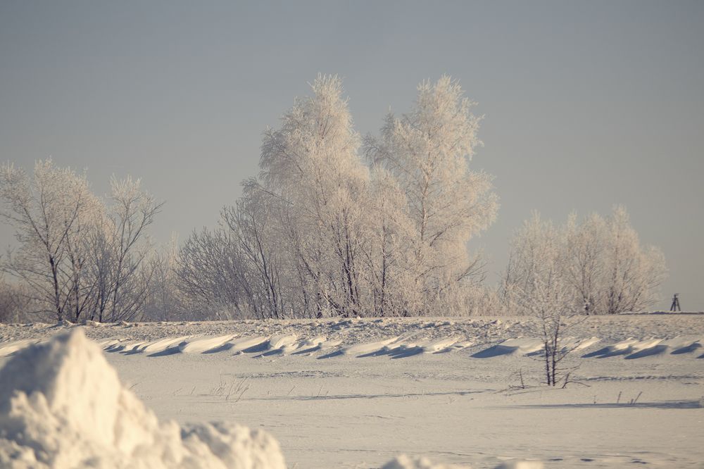 Photograph by Любовь Головина