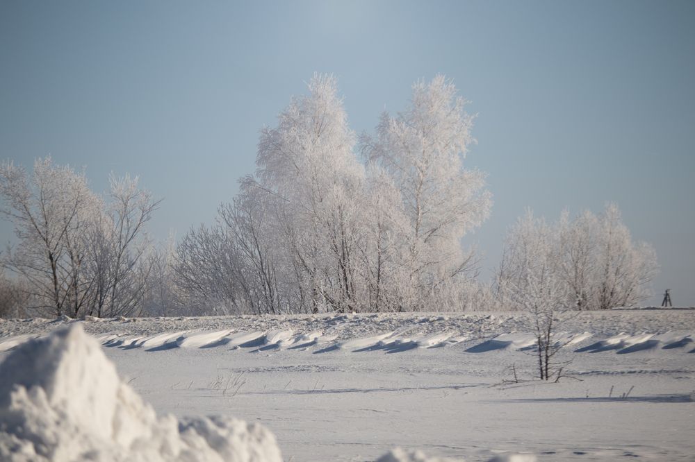 Photograph by Любовь Головина