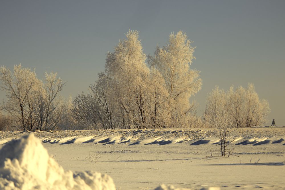 Photograph by Любовь Головина