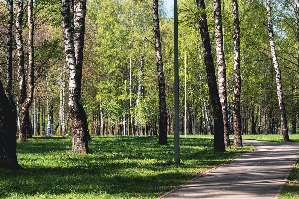 Photograph by Любовь Головина