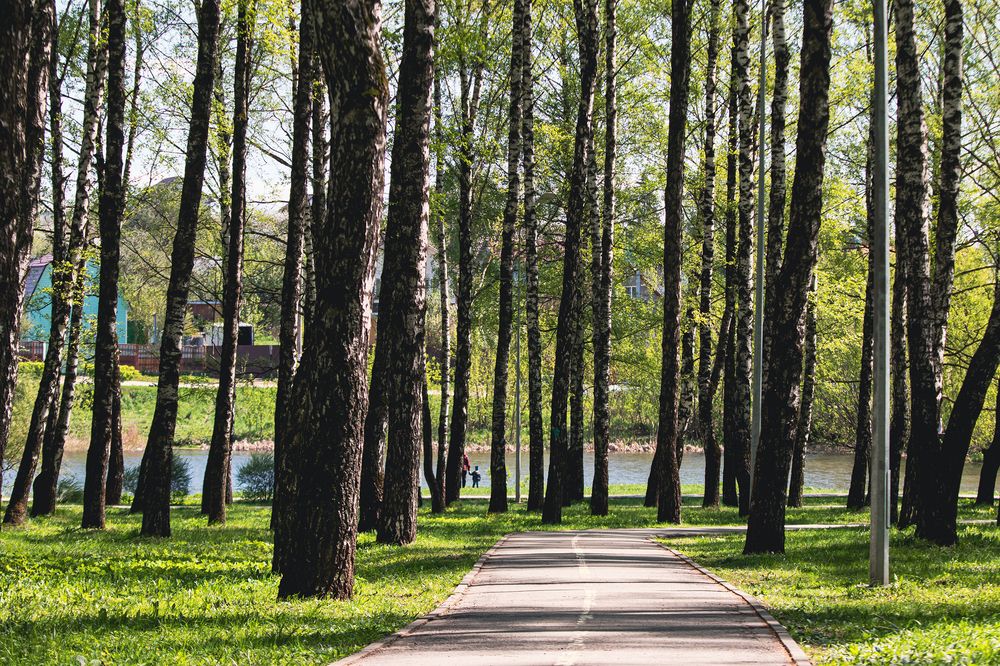 Photograph by Любовь Головина