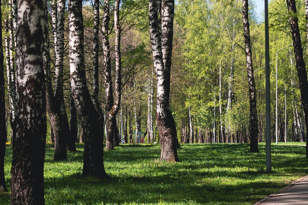 Photograph by Любовь Головина