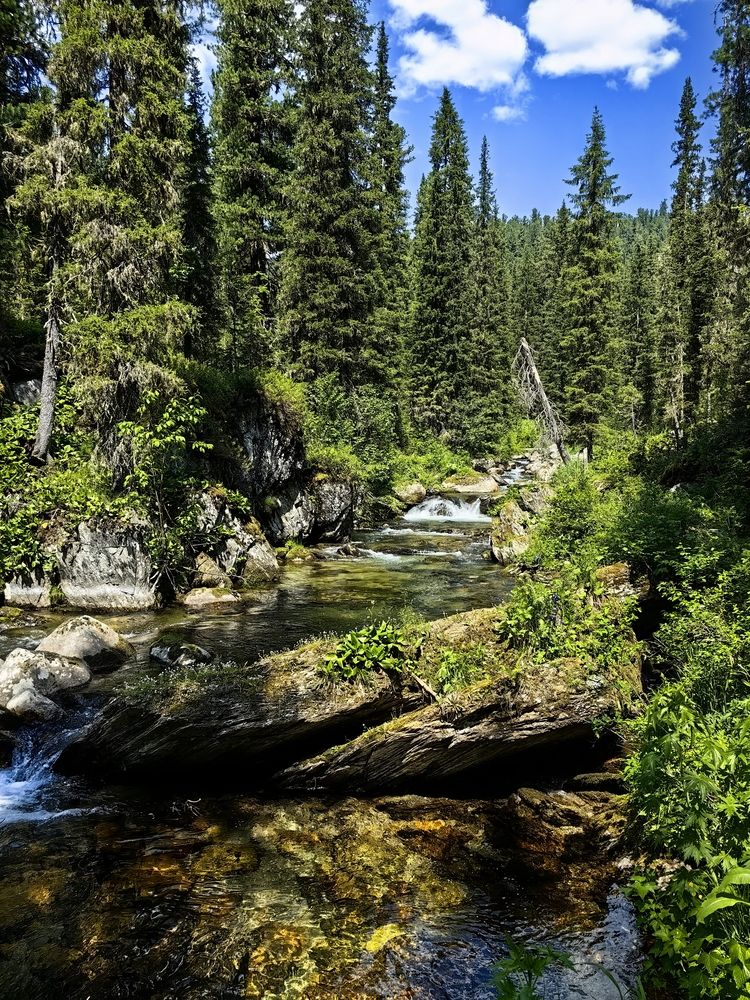 Photograph by OLGA MIKHNEVICH