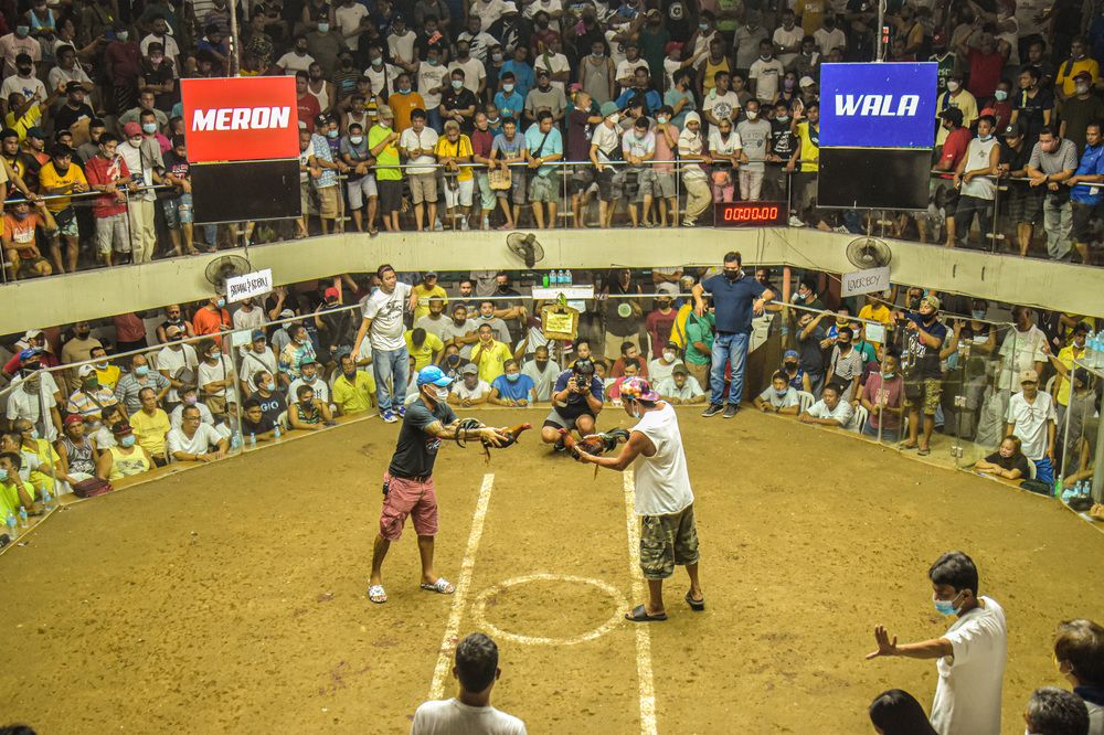 Фотография автора Mishiwa Gallardo