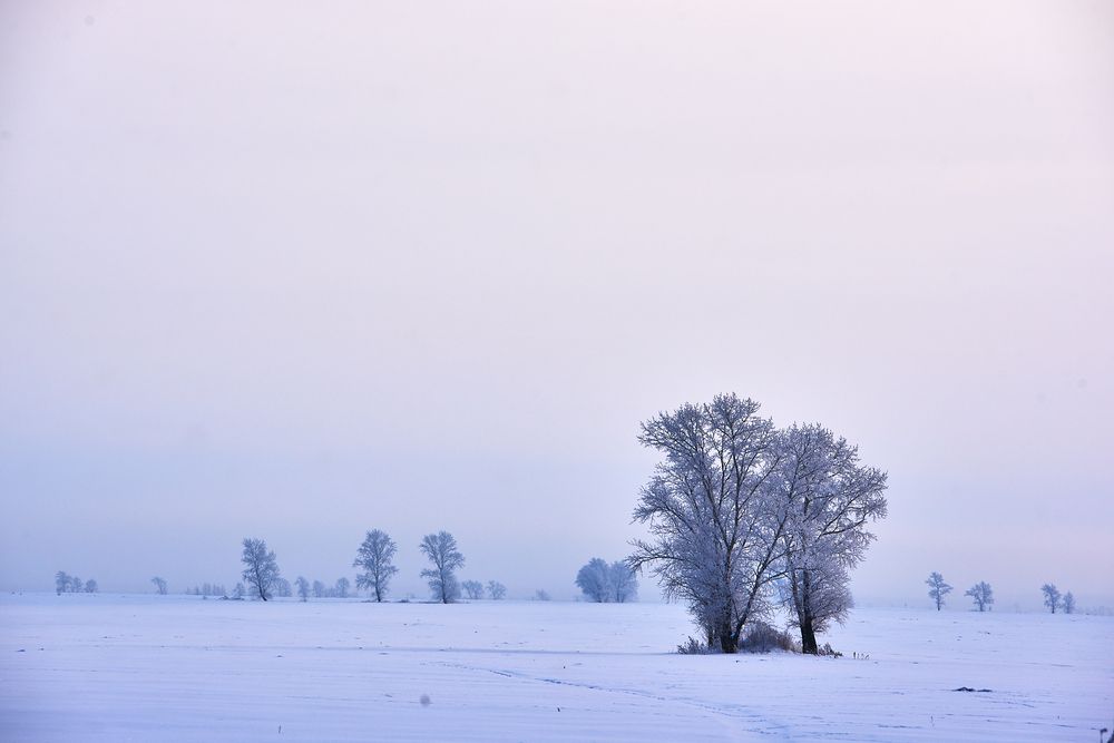 Photograph by Михаил Рогачев