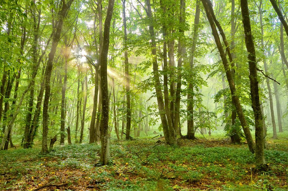 Photograph by Владимир Бочковский