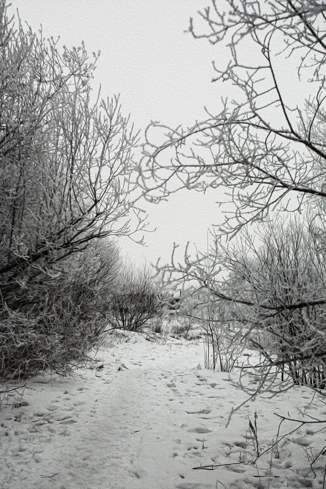 Photograph by Ольга Волкова