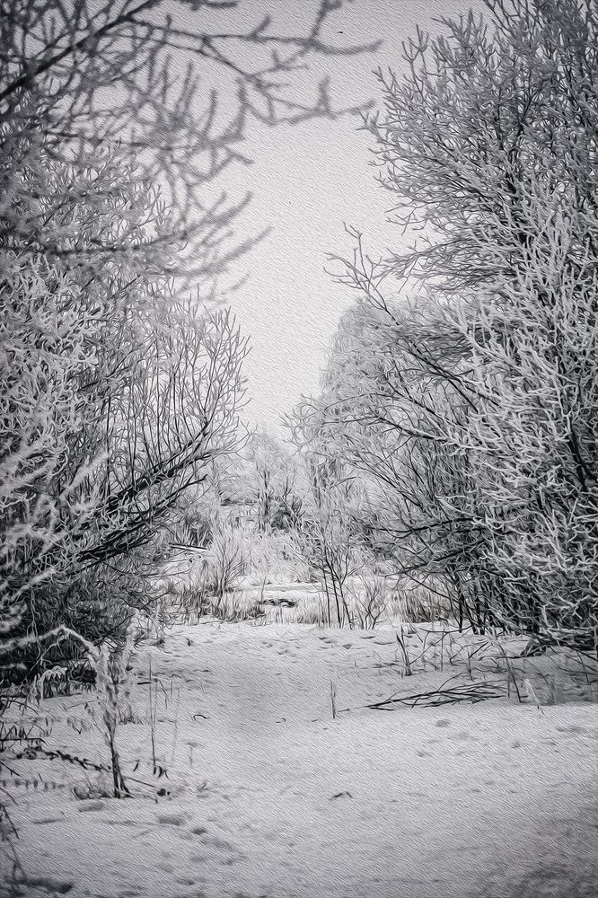 Photograph by Ольга Волкова