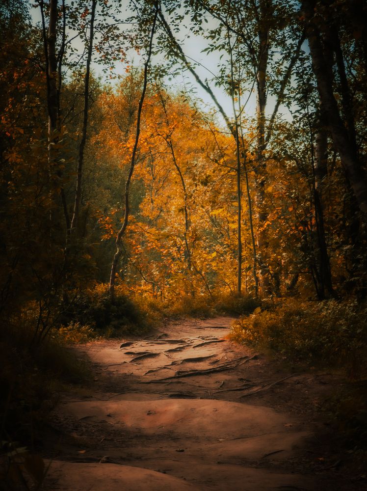 Photograph by Александр Державин