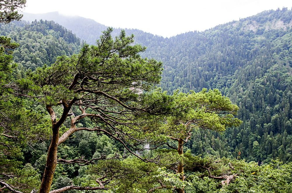 Photograph by Роман Приходько