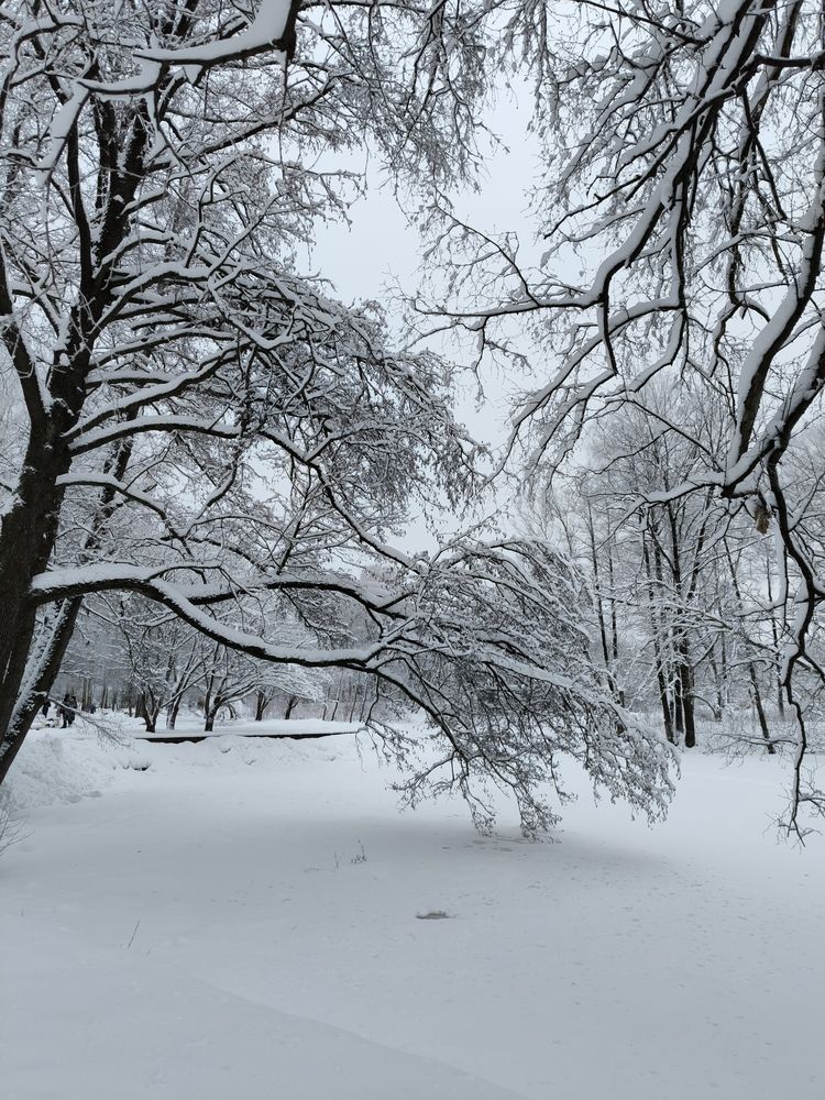 Photograph by Кристина Ланшакова