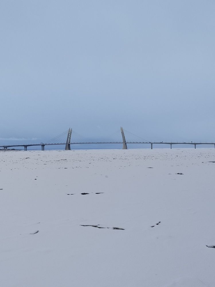 Фотография автора Ирина Сидоренко