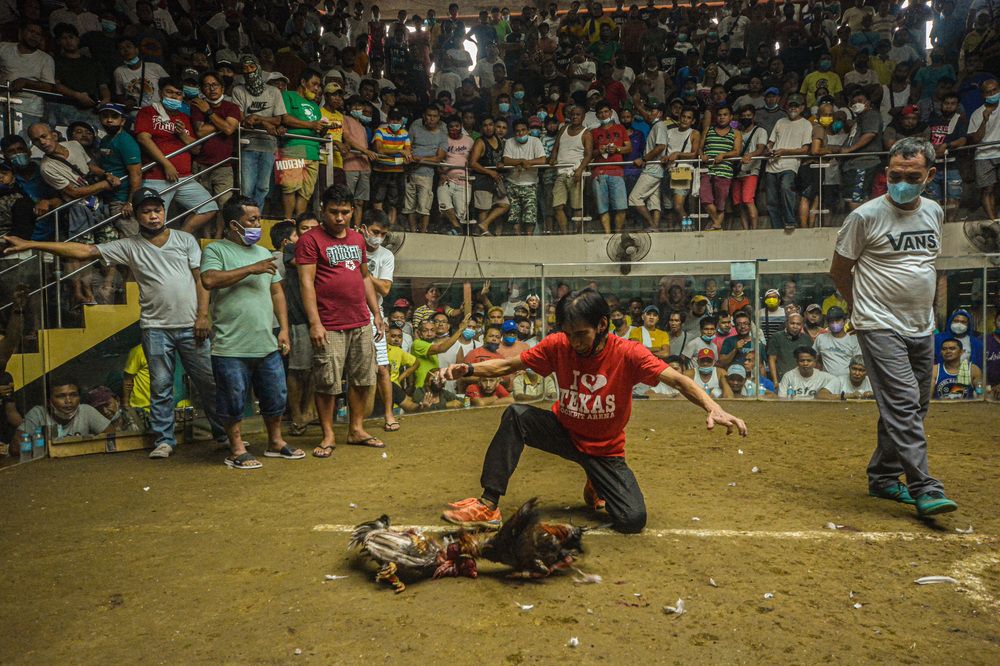 Фотография автора Mishiwa Gallardo