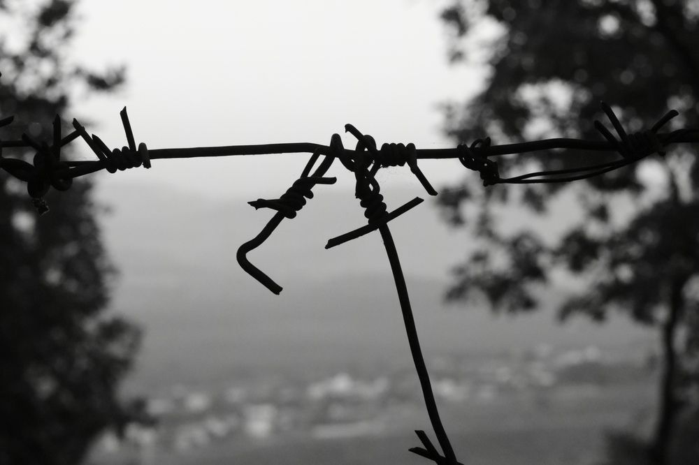 Photograph by Патрисия Каляганова