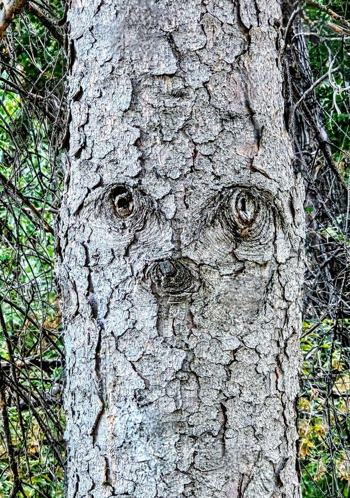 Photograph by Людмила Локтионова