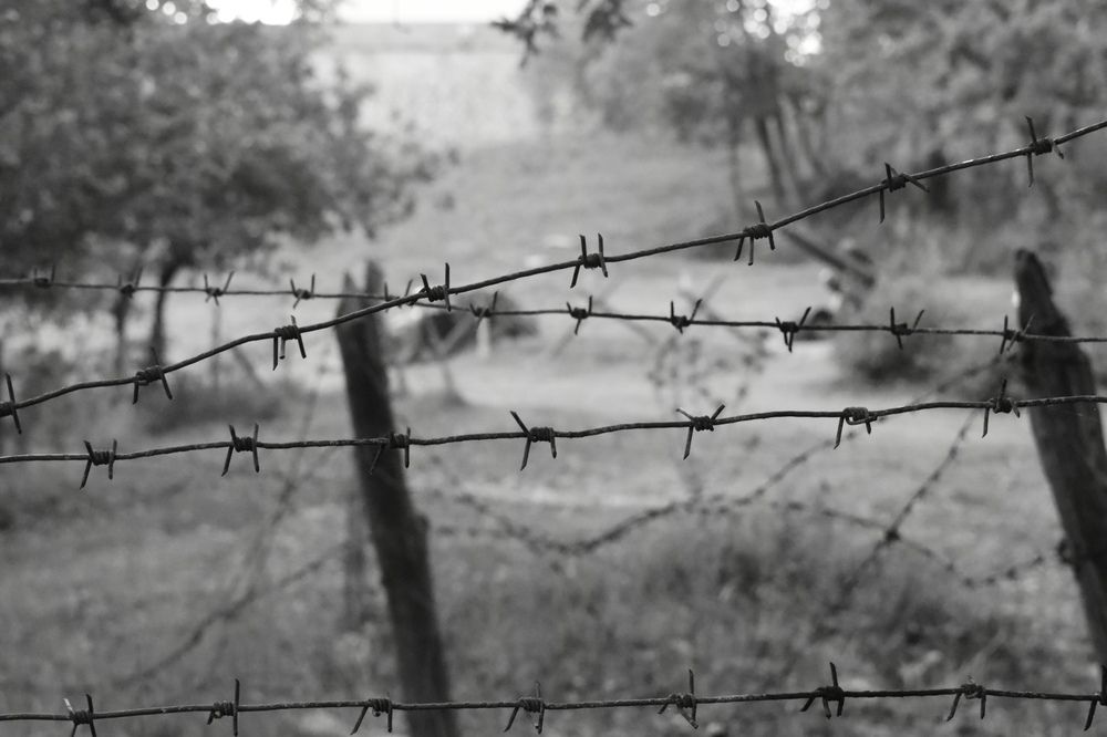 Photograph by Патрисия Каляганова