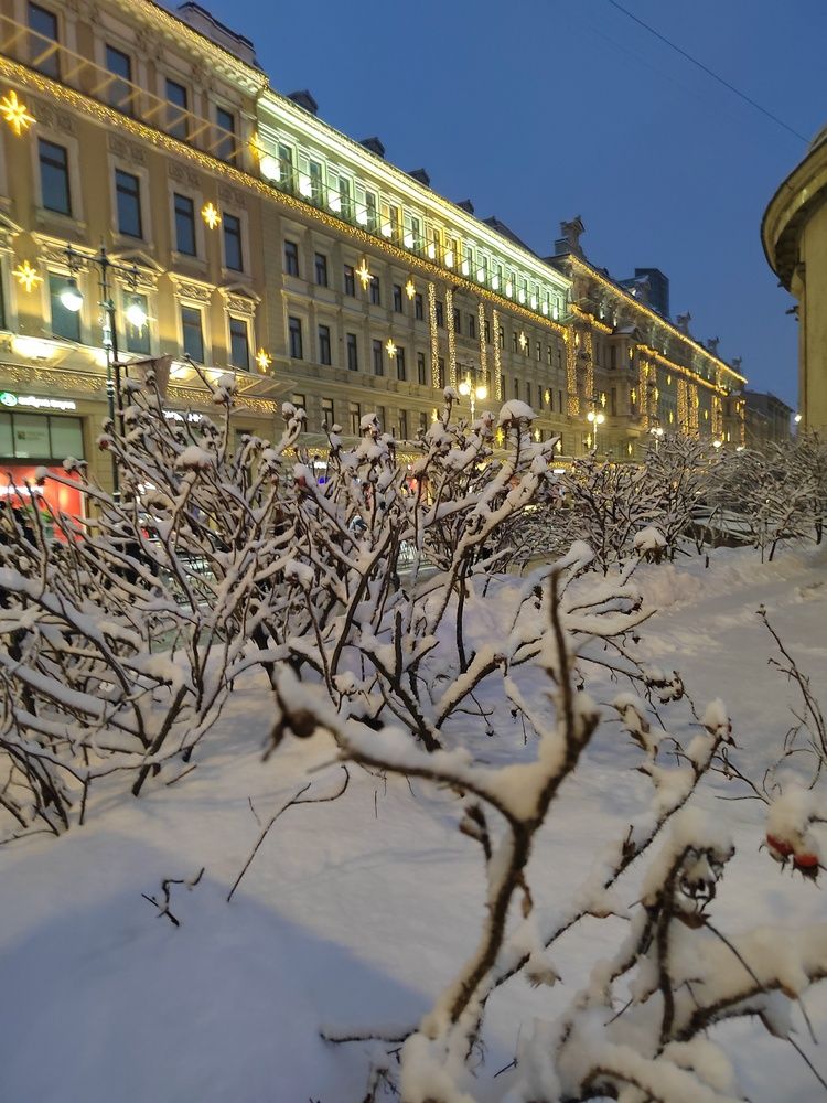 Photograph by Ирина Сидоренко