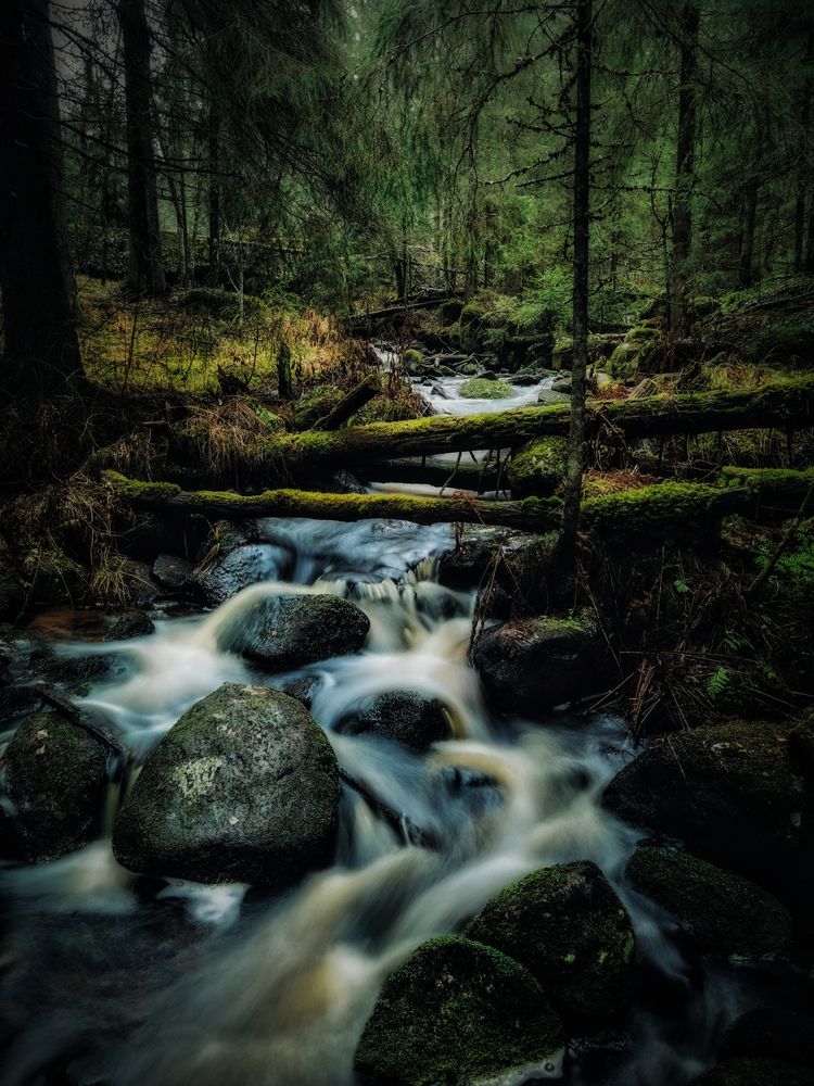 Photograph by Александр Державин