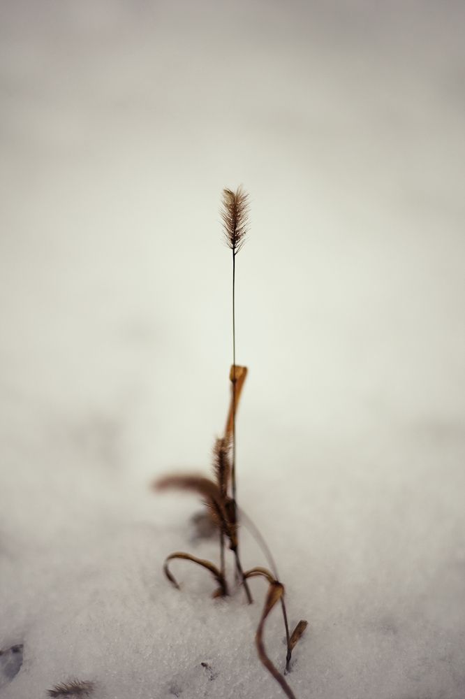 Photograph by Ирина