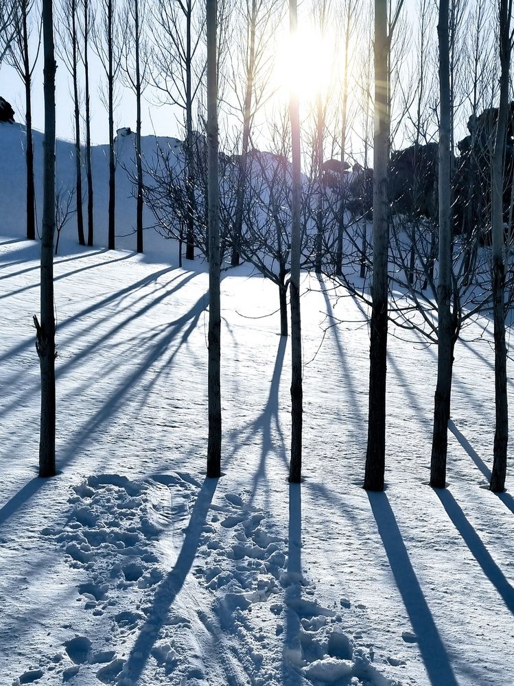 Фотография автора Naser Rezeian