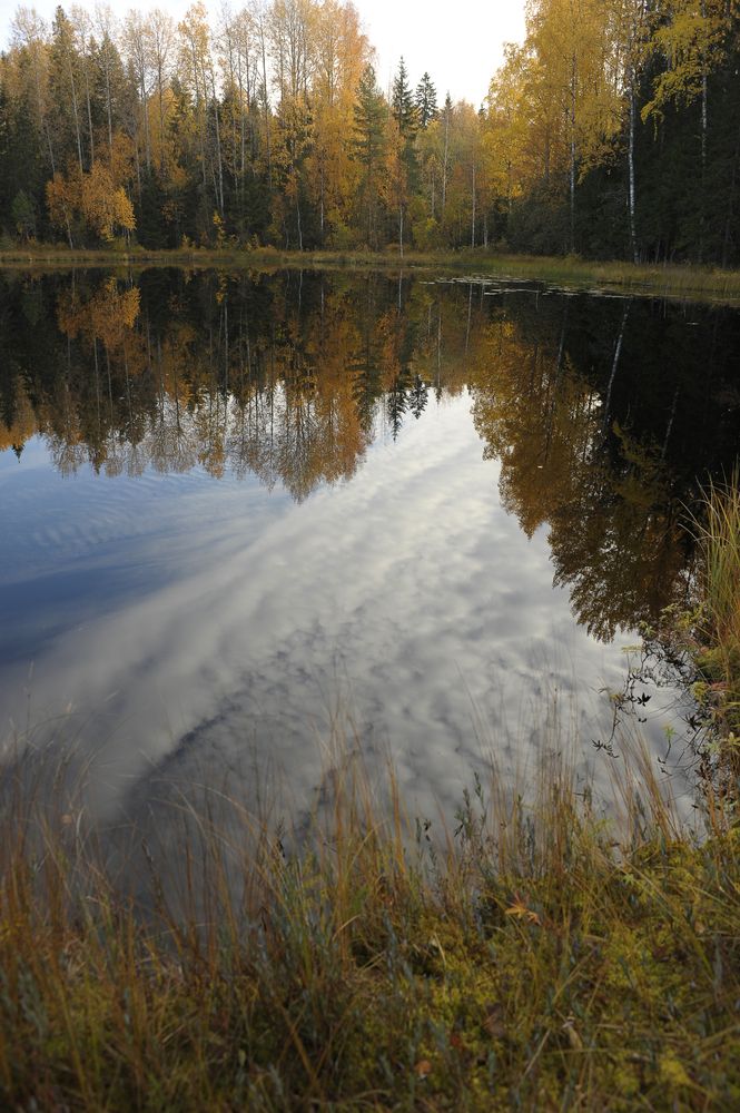 Photograph by Геннадий Тикка